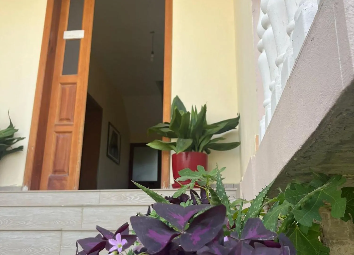 Hotel apartamentowy Residence Domus Aurea Velipojë Albania